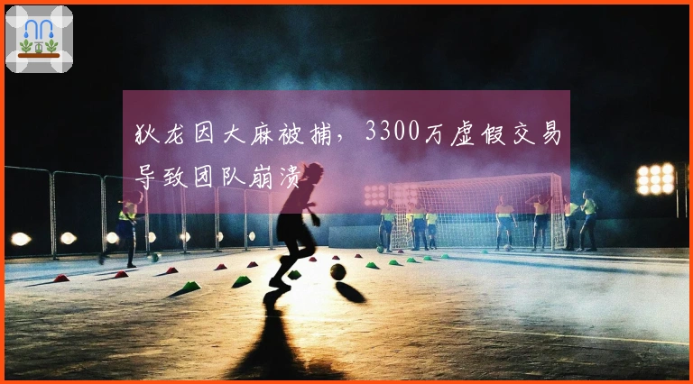 狄龙因大麻被捕，3300万虚假交易导致团队崩溃