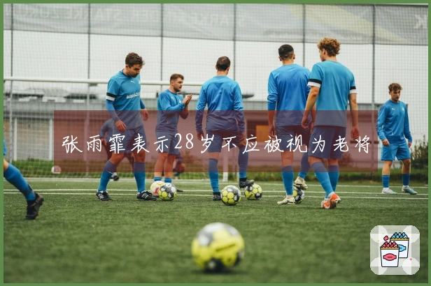 张雨霏表示28岁不应被视为老将