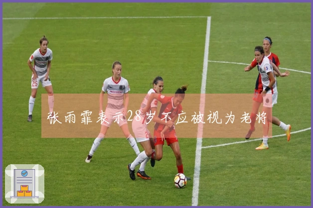 张雨霏表示28岁不应被视为老将